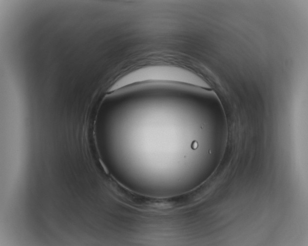 X0000110980217200906261436