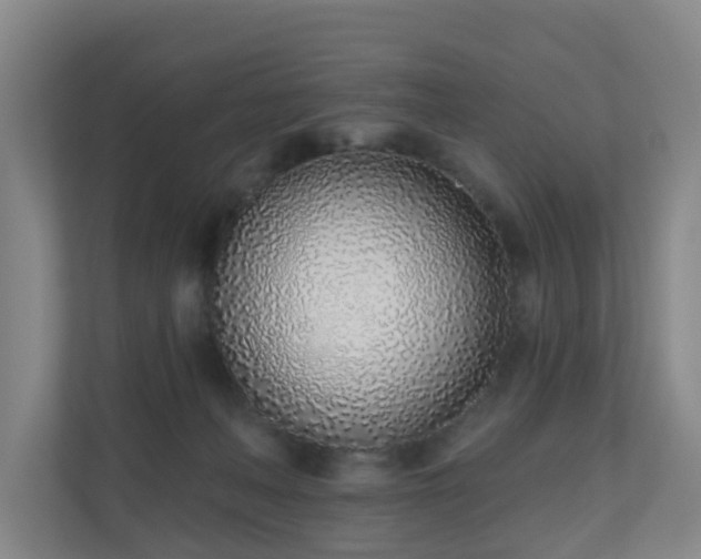 X0000110980222200906261436