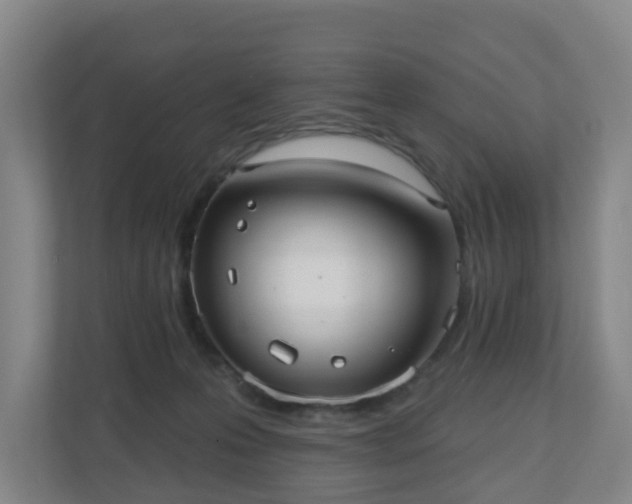 X0000110980223200906261436