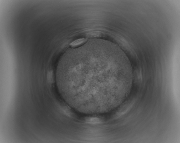 X0000110980224200906261436