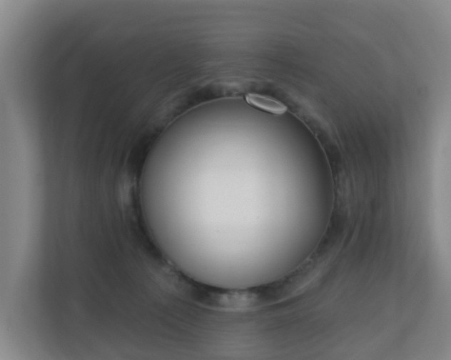 X0000110980225200906261436