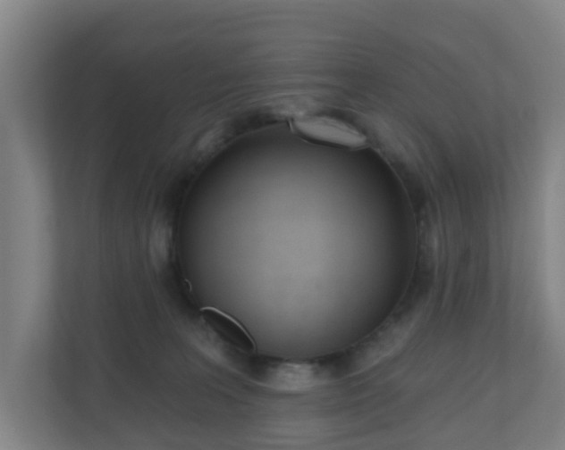 X0000110980227200906261436