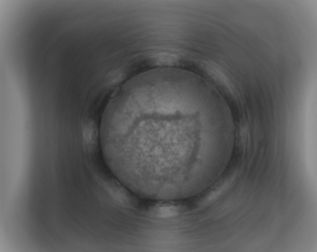 X0000110980228200906261436