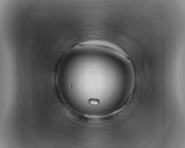 X0000110980231200906261435