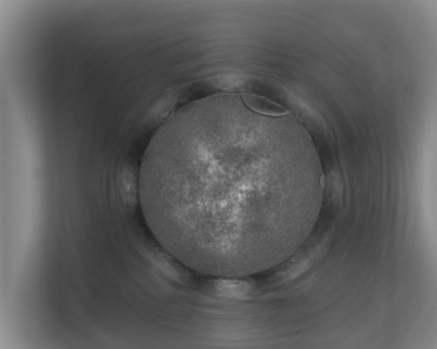 X0000110980234200906261435