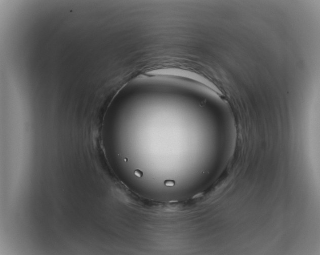 X0000110980235200906261435