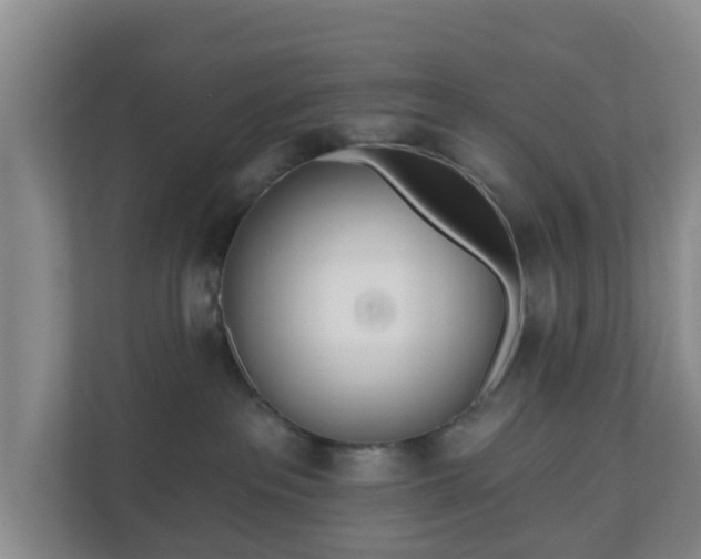 X0000110980237200906261435