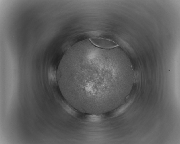 X0000110980238200906261435