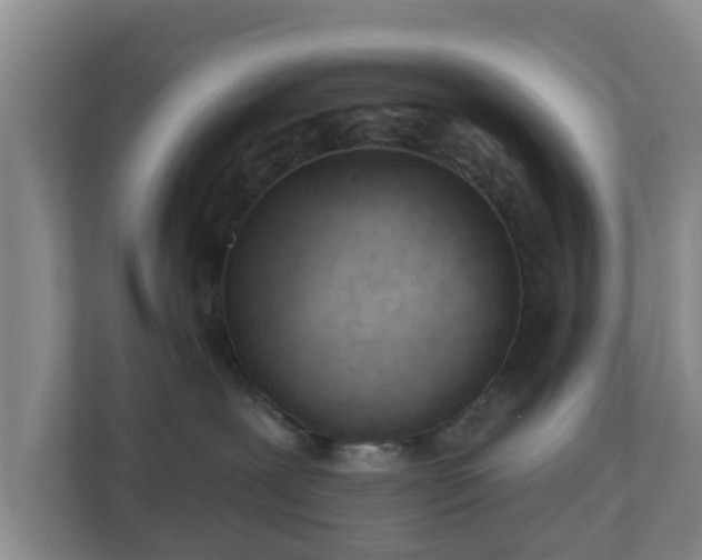 X0000110980239200906261435