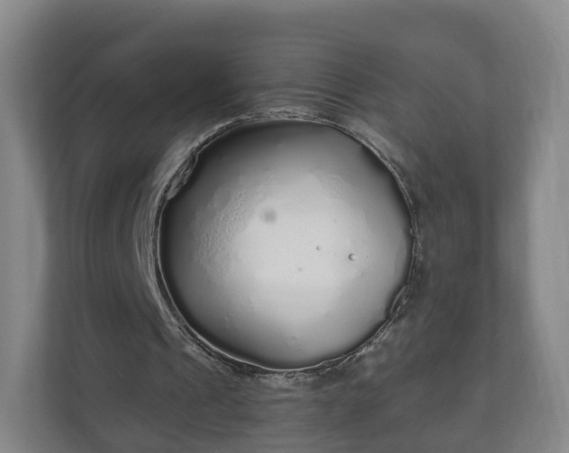 X0000110980241200906261435