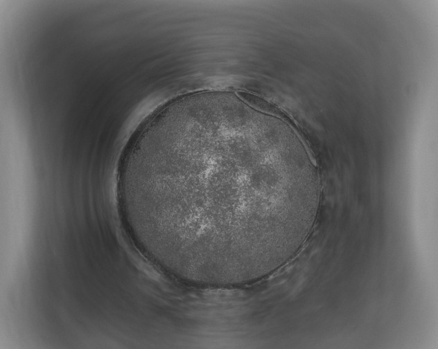 X0000110980242200906261435