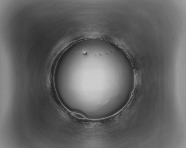 X0000110980243200906261435