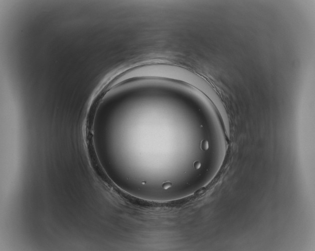 X0000110980244200906261435