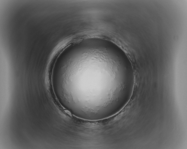 X0000110980245200906261435