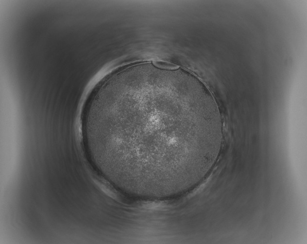 X0000110980246200906261435