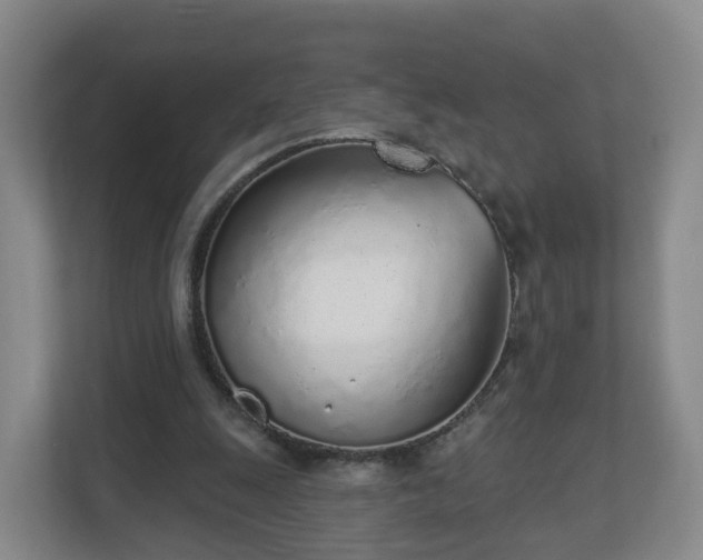 X0000110980247200906261435