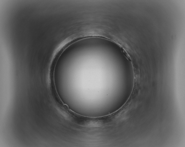 X0000110980248200906261435