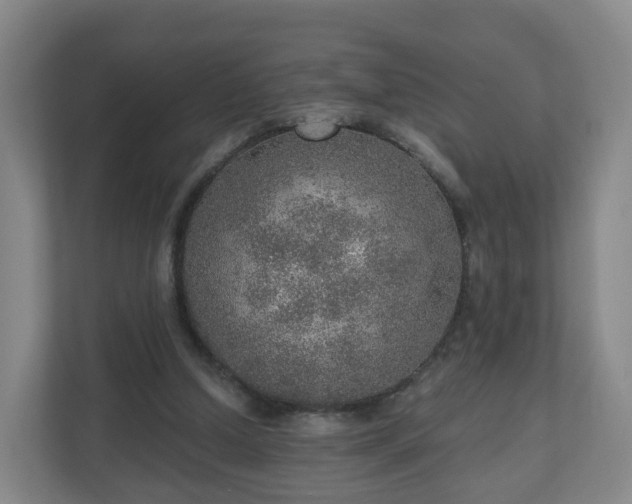 X0000110980250200906261435