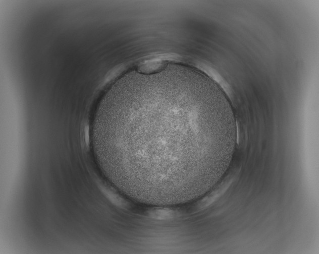 X0000110980253200906261435