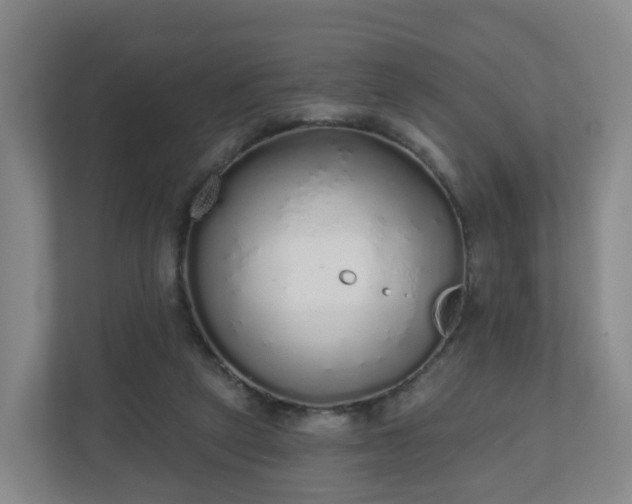 X0000110980257200906261435