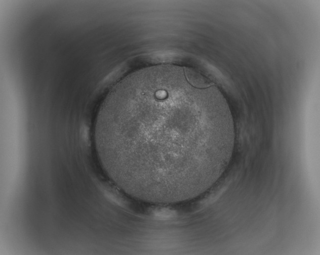 X0000110980258200906261435