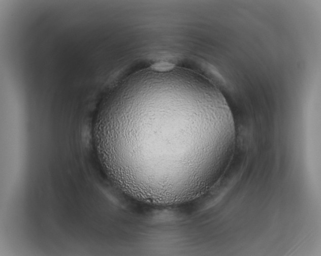 X0000110980259200906261435