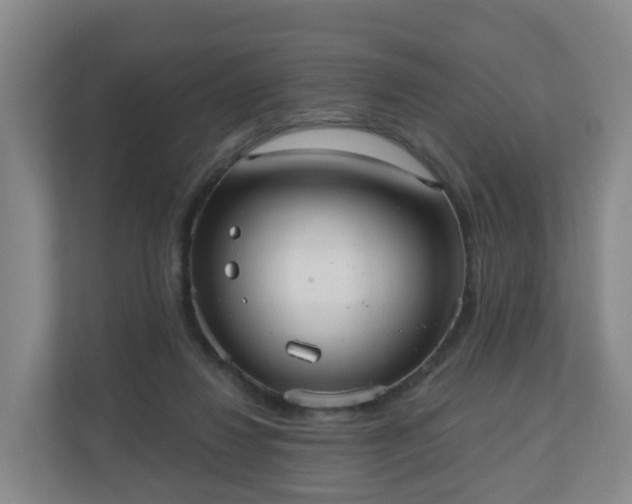 X0000110980260200906261435