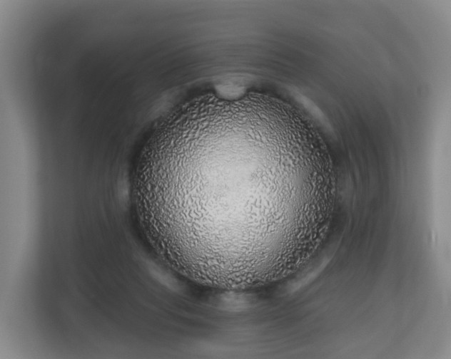 X0000110980261200906261435