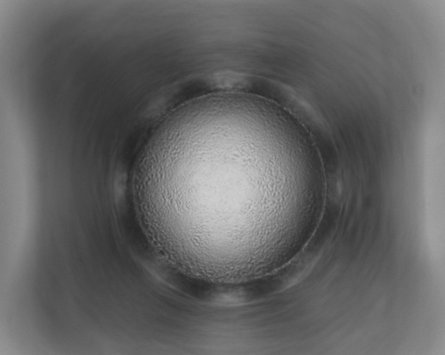 X0000110980263200906261435