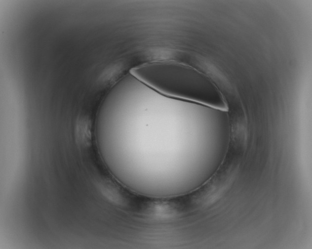 X0000110980264200906261435