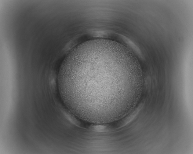 X0000110980265200906261435