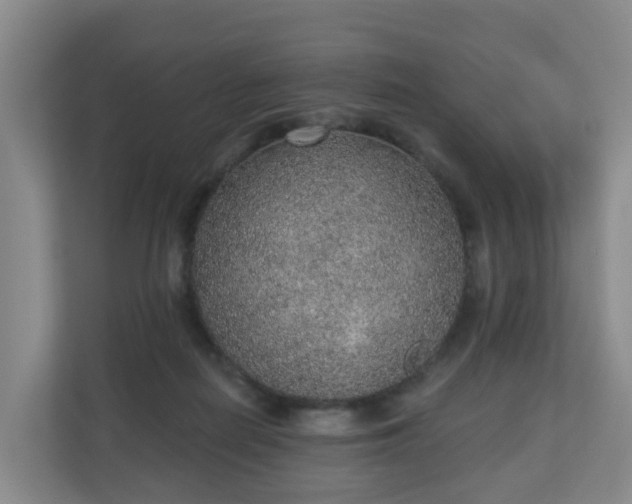 X0000110980266200906261435