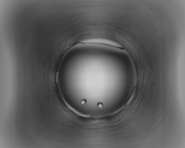 X0000110980268200906261435