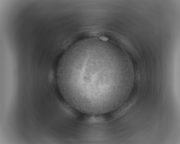 X0000110980270200906261435