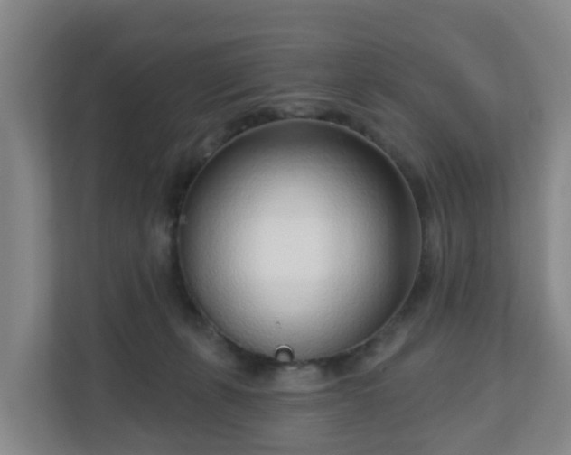 X0000110980271200906261435