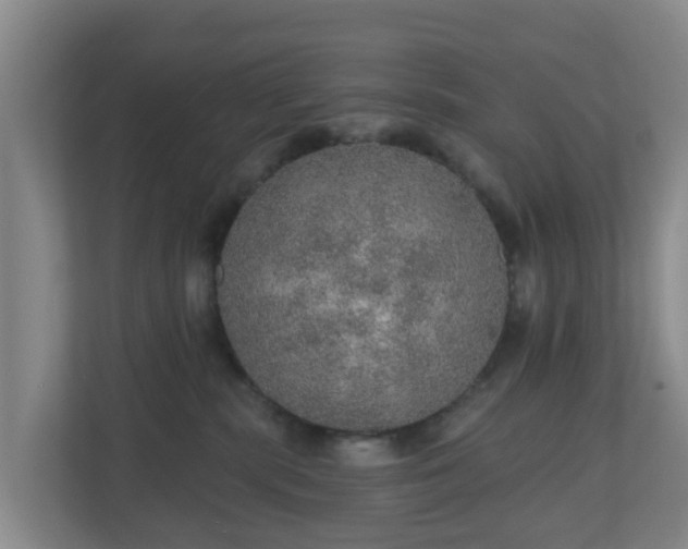 X0000110980283200906261435