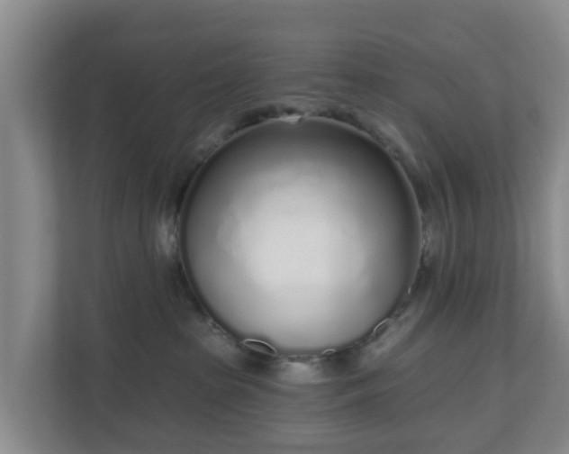 X0000110980285200906261435