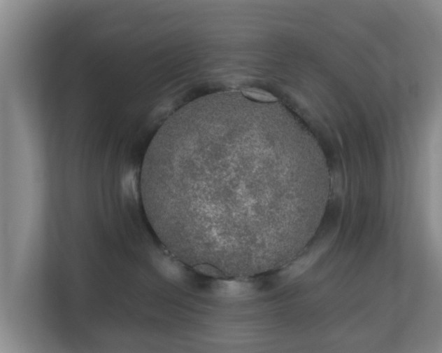 X0000110980286200906261435