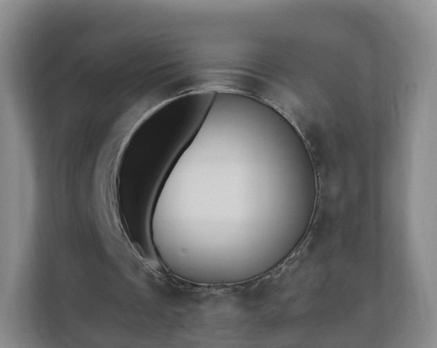 X0000110980289200906261435