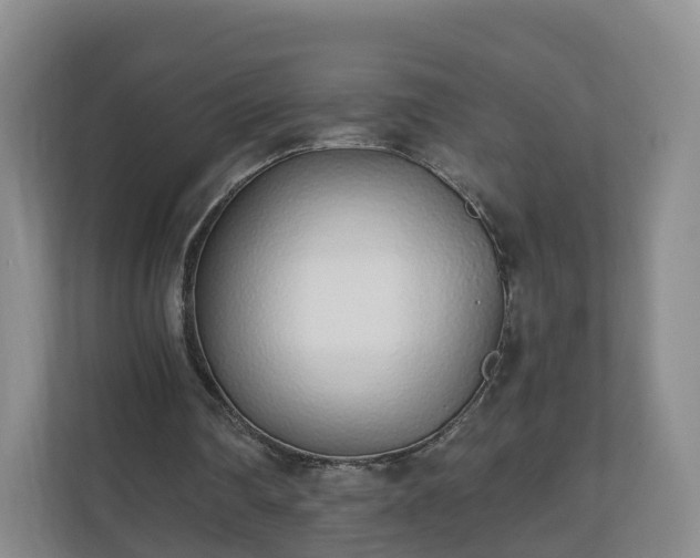 X0000110980290200906261435