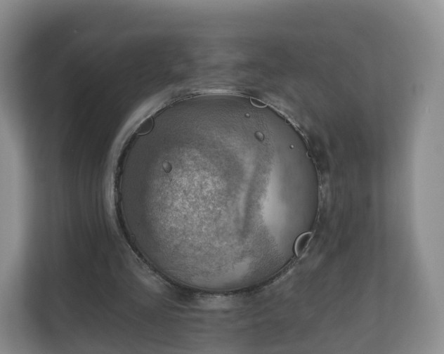 X0000110980293200906261435