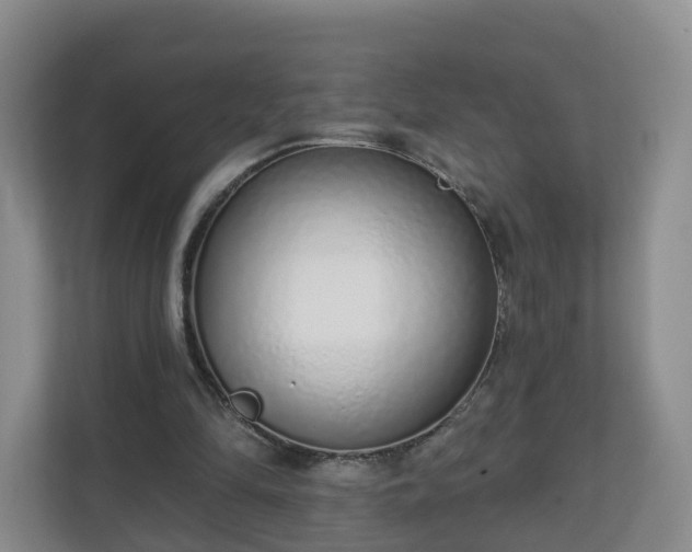 X0000110980294200906261435