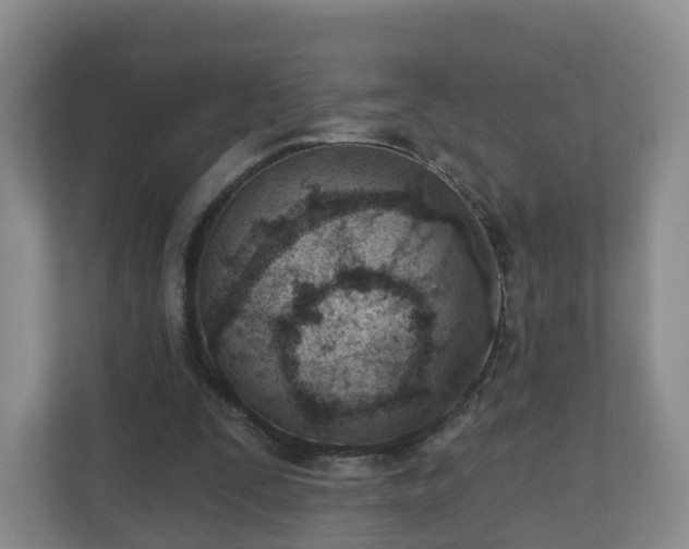 X0000110980295200906261435