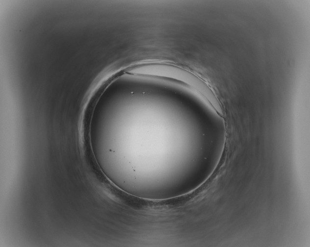 X0000110980296200906261435