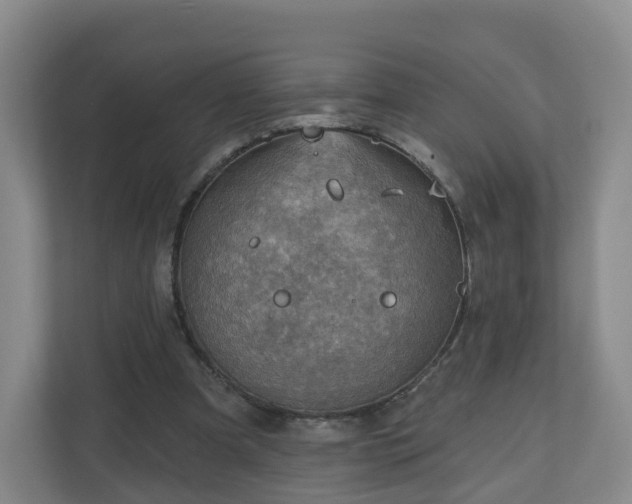 X0000110980297200906261435