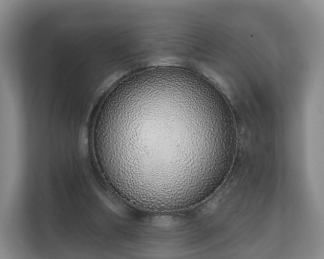 X0000110980298200906261435