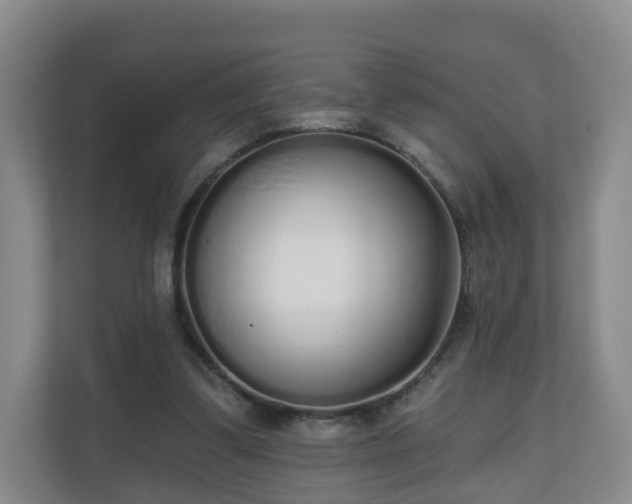 X0000110980299200906261435