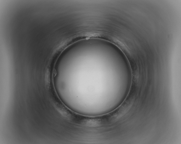 X0000110980303200906261435