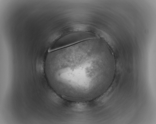 X0000110980305200906261434