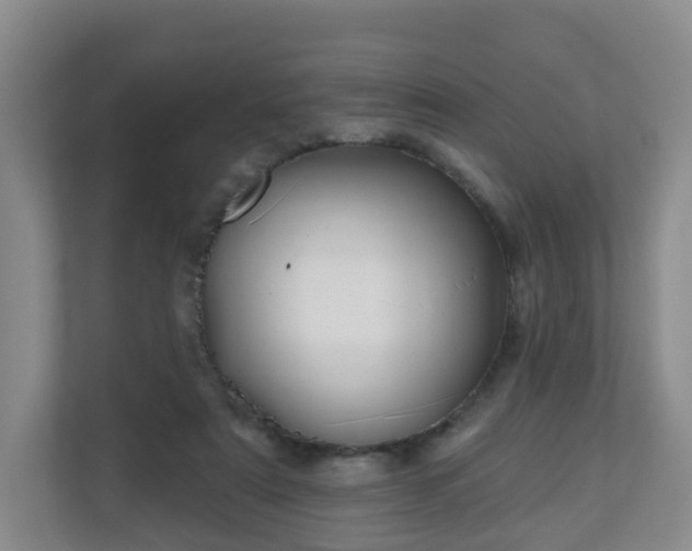 X0000110980307200906261434